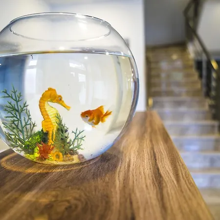 Kapetanovina 3* Mostar